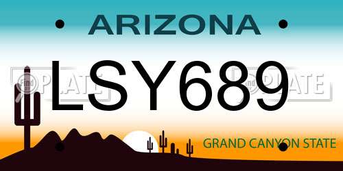LSY689 Arizona License Plate