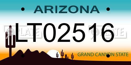 LT02516 Arizona License Plate