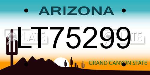 LT75299 Arizona License Plate