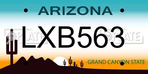 LXB563 Arizona License Plate
