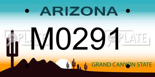 M0291 Arizona License Plate