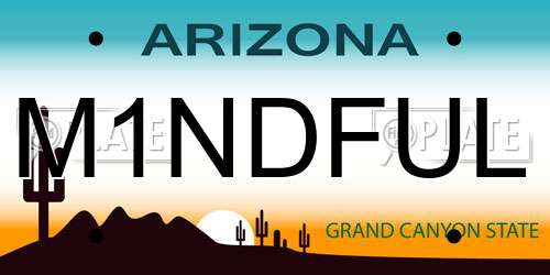 M1NDFUL Arizona License Plate
