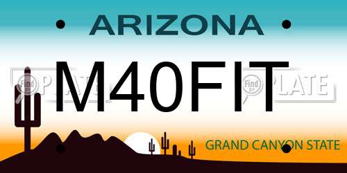 M40FIT Arizona License Plate