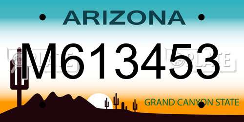 M613453 Arizona License Plate