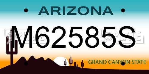 M62585S Arizona License Plate