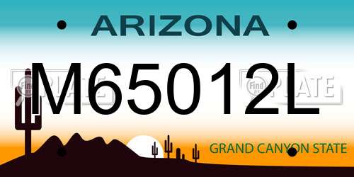 M65012L Arizona License Plate