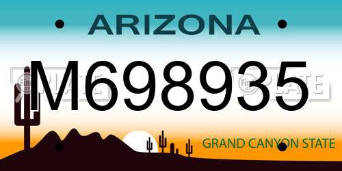 M698935 Arizona License Plate