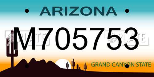 M705753 Arizona License Plate
