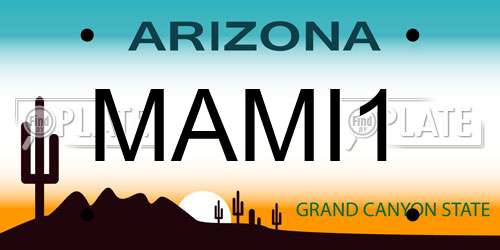 MAMI1 Arizona License Plate