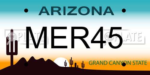 MER45 Arizona License Plate