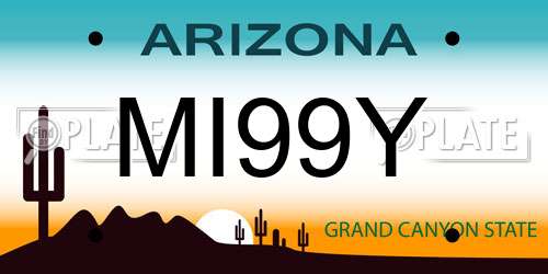 MI99Y Arizona License Plate