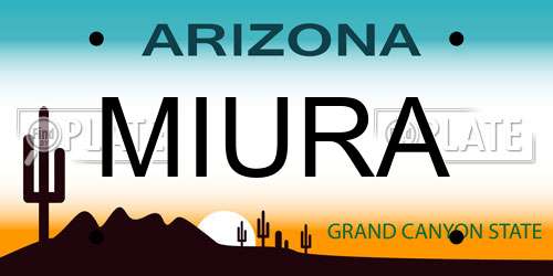 MIURA Arizona License Plate
