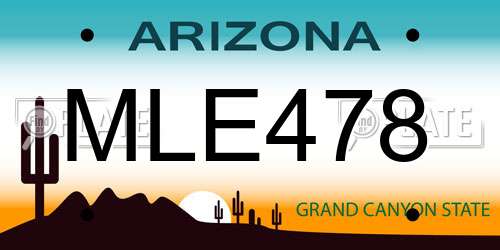 MLE478 Arizona License Plate