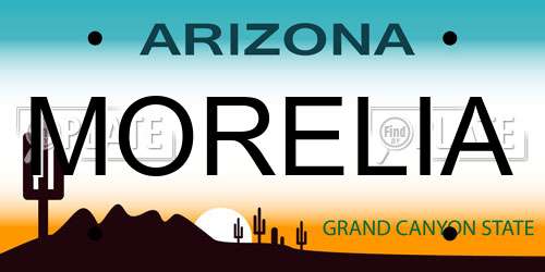 MORELIA Arizona License Plate