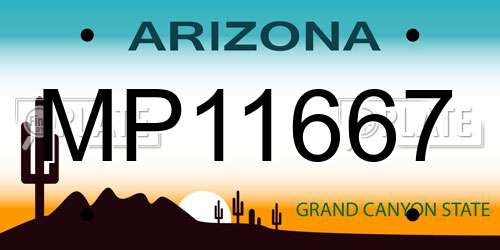 MP11667 Arizona License Plate