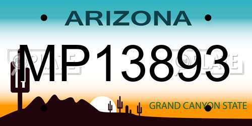 MP13893 Arizona License Plate