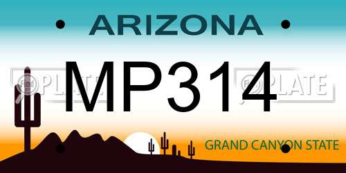 MP314 Arizona License Plate