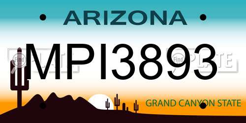 MPI3893 Arizona License Plate