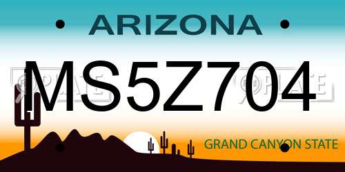MS5Z704 Arizona License Plate