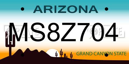MS8Z704 Arizona License Plate