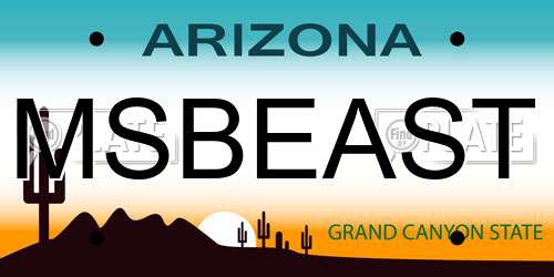 MSBEAST Arizona License Plate