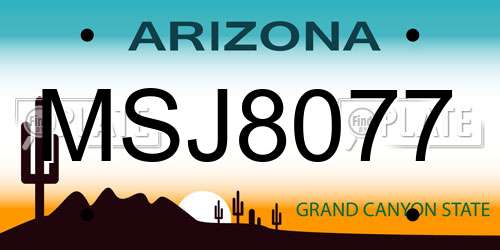 MSJ8077 Arizona License Plate