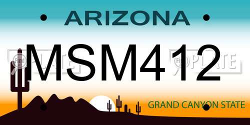 MSM412 Arizona License Plate