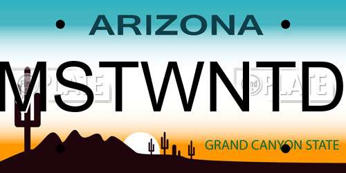 MSTWNTD Arizona License Plate