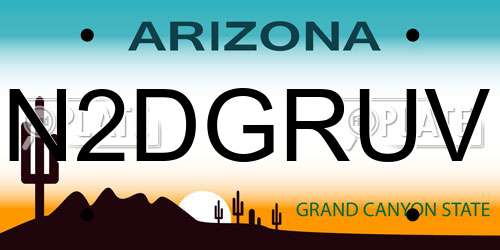 N2DGRUV Arizona License Plate