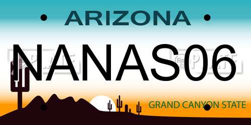 NANAS06 Arizona License Plate