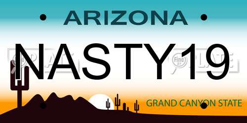 NASTY19 Arizona License Plate
