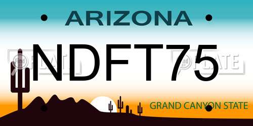 NDFT75 Arizona License Plate