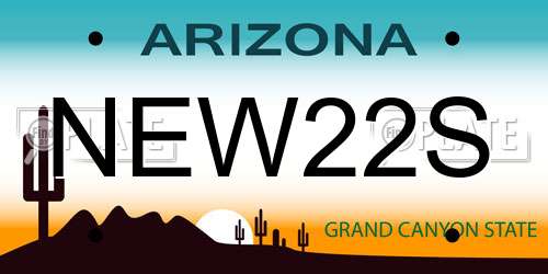 NEW22S Arizona License Plate
