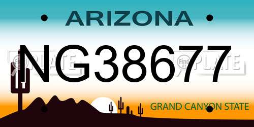 NG38677 Arizona License Plate