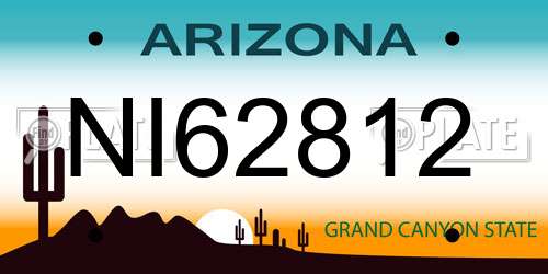 NI62812 Arizona License Plate