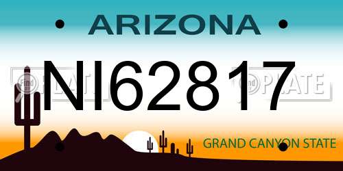 NI62817 Arizona License Plate