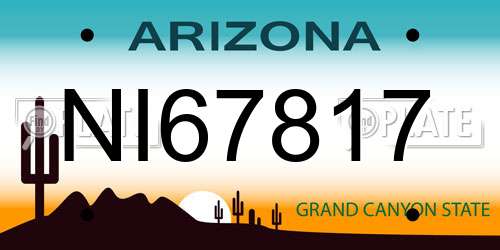 NI67817 Arizona License Plate