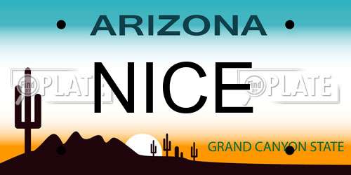 NICE Arizona License Plate
