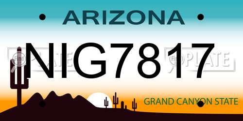 NIG7817 Arizona License Plate