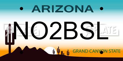 NO2BSL Arizona License Plate