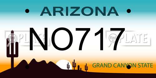 NO717 Arizona License Plate