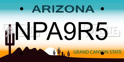 NPA9R5 Arizona License Plate