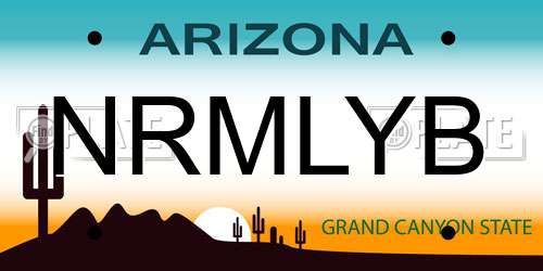 NRMLYB Arizona License Plate