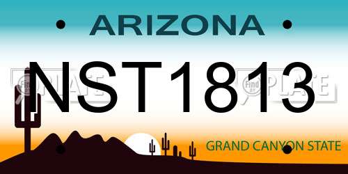 NST1813 Arizona License Plate