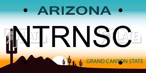 NTRNSC Arizona License Plate