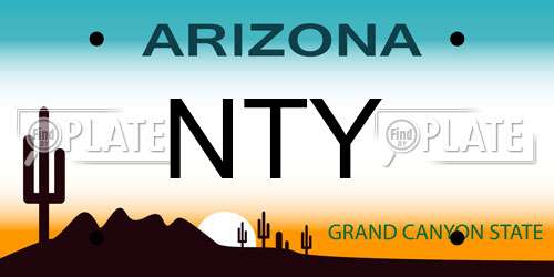 NTY Arizona License Plate