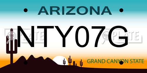 NTY07G Arizona License Plate