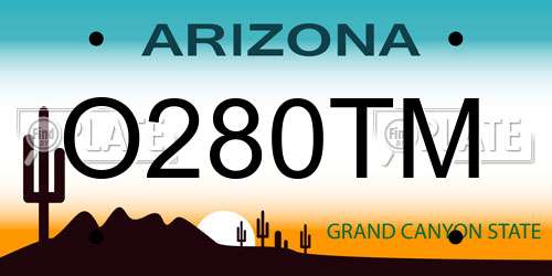 O280TM Arizona License Plate