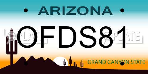 OFDS81 Arizona License Plate