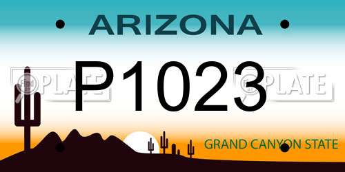 P1023 Arizona License Plate